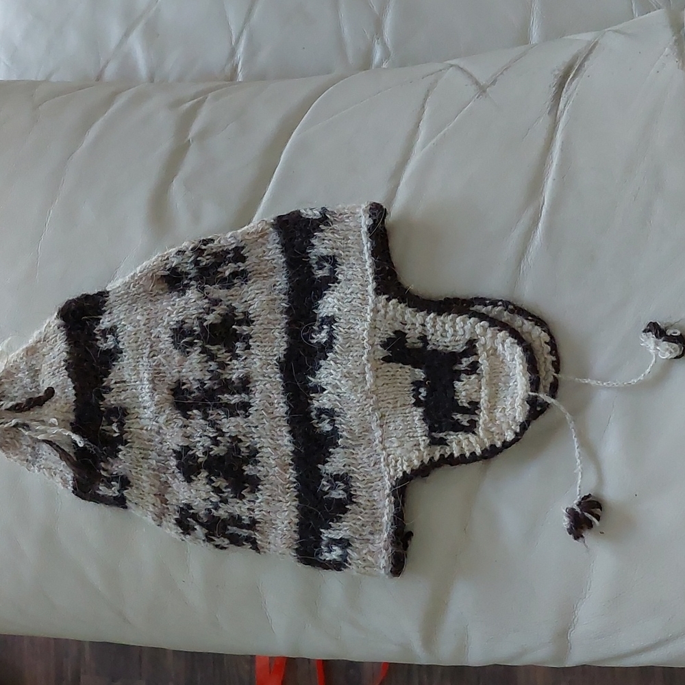 Peruvian Wool Hat - image 7